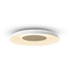 Ramen LED 24 inch White Oak and Matte White ADA Wall Sconce/Pendant Wall Light in White Oak With Matte White, Hardwire